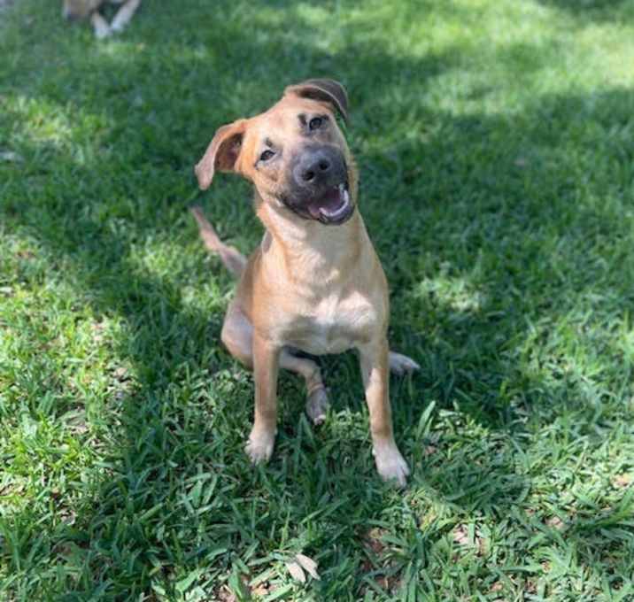 Photo of Daffy