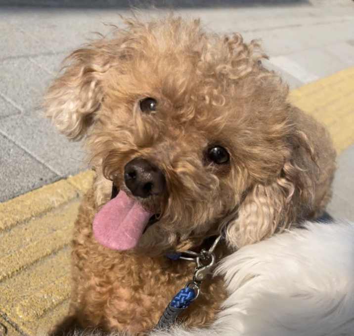 Photo of Aki