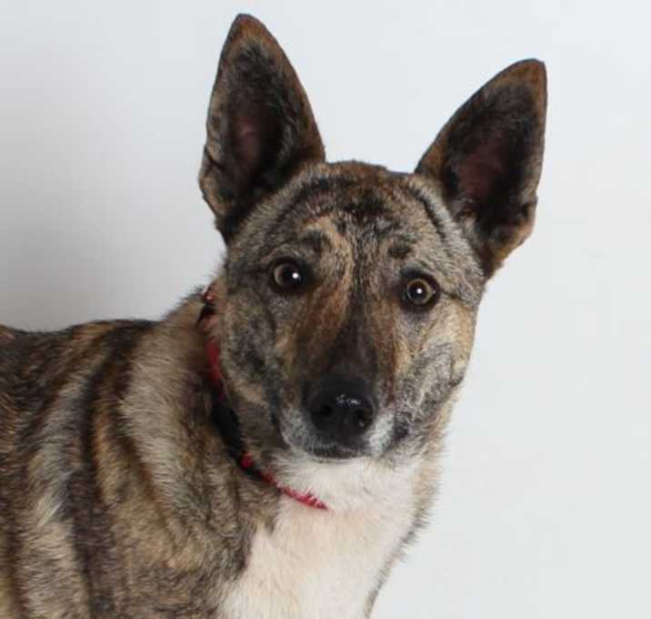 Photo of Tessie