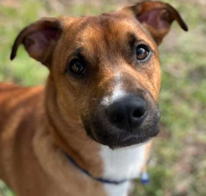 Photo of Scooter