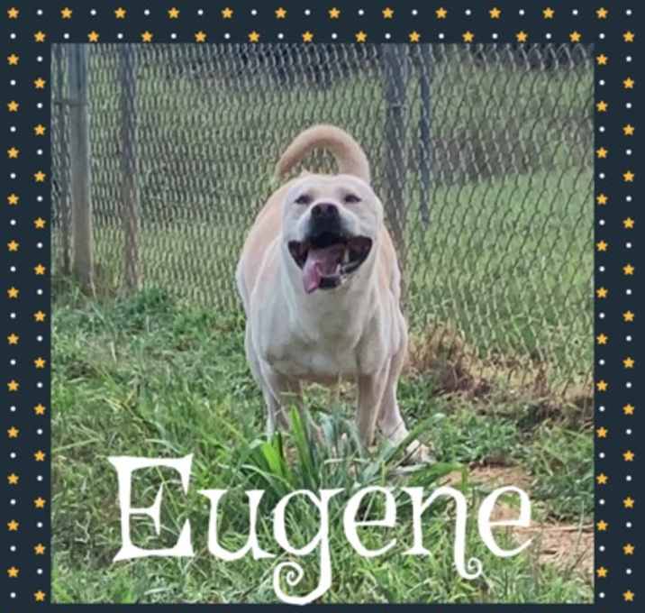 Photo of Eugene