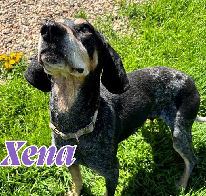 Photo of Xena