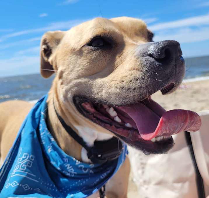 Photo of Finnegan