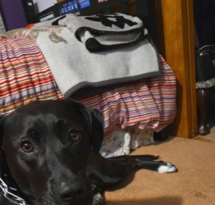 Photo of Ellie Jinora
