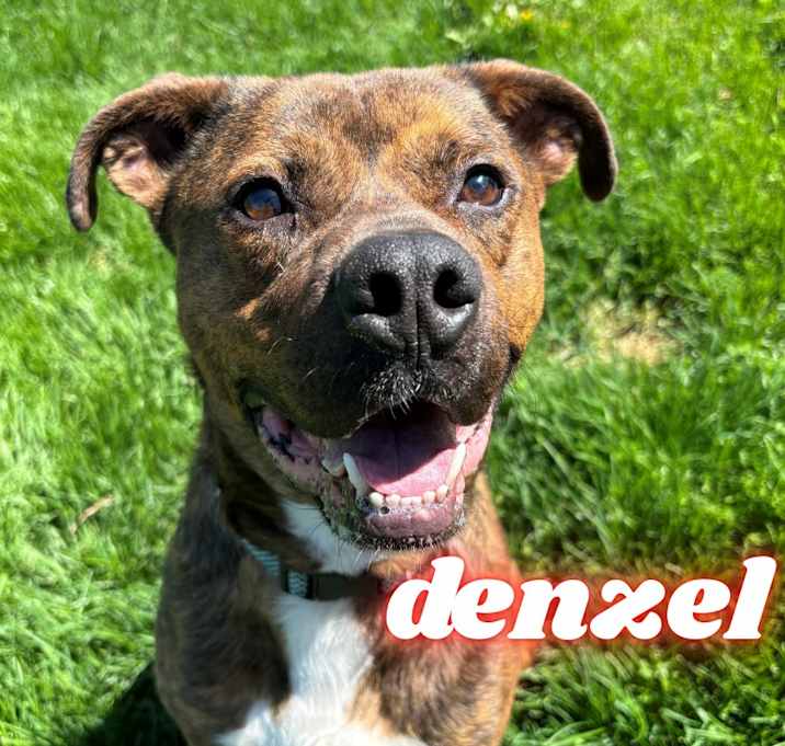 Photo of Denzel