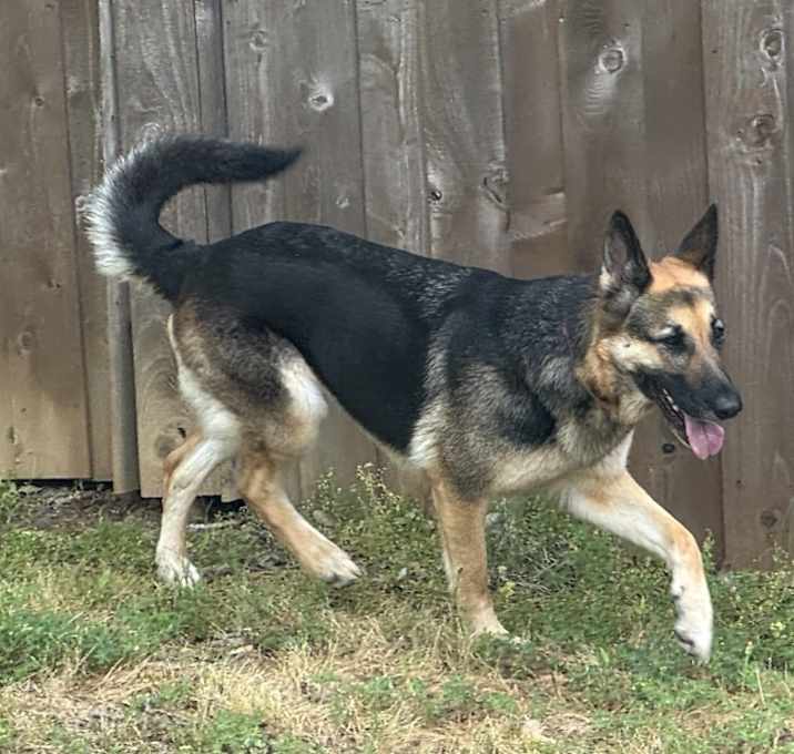 Photo of Ruby