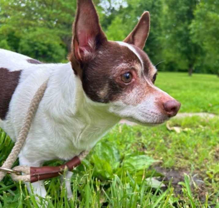Photo of Skeeter