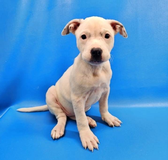 Photo of Betty