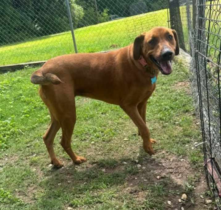Photo of Ellie Mae