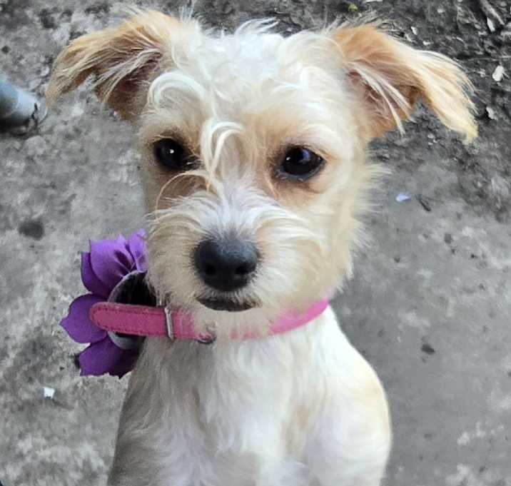 Photo of Nova Anne