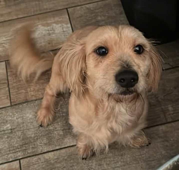 Photo of Loui