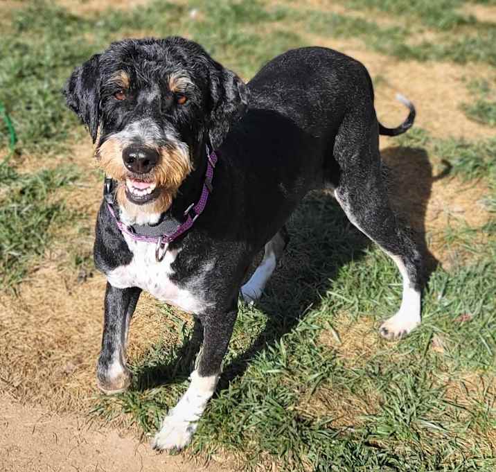 Photo of Berta