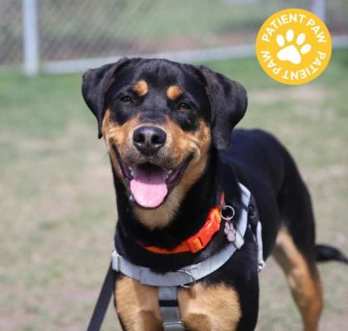 Photo of Bella Bo-Ella