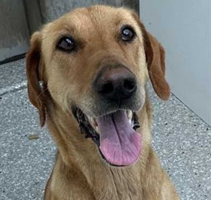 Photo of NALA