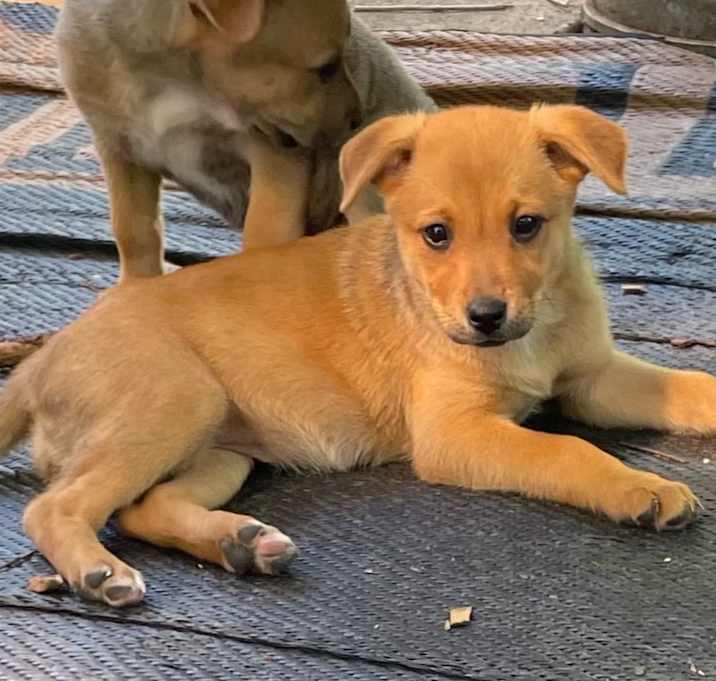 Photo of Zelda