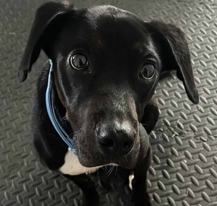 Photo of Hugo