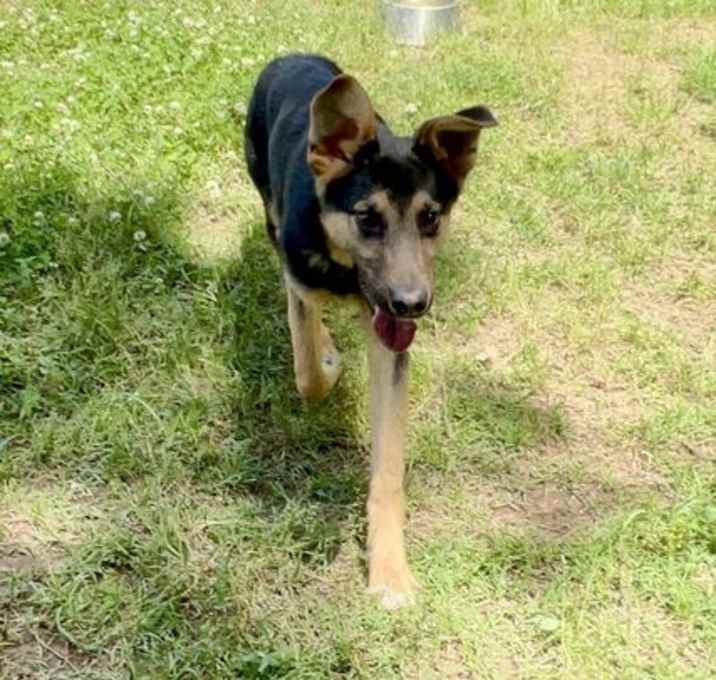 Photo of Zeus