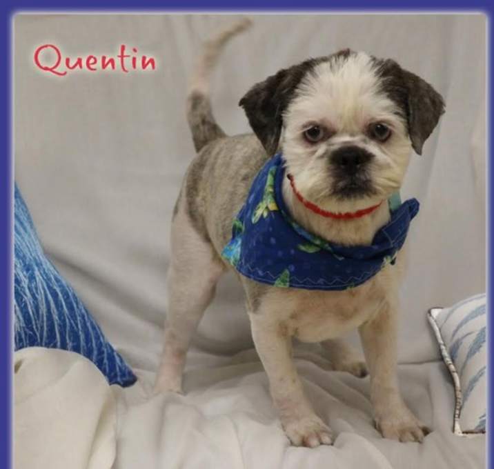 Photo of Quentin in TX