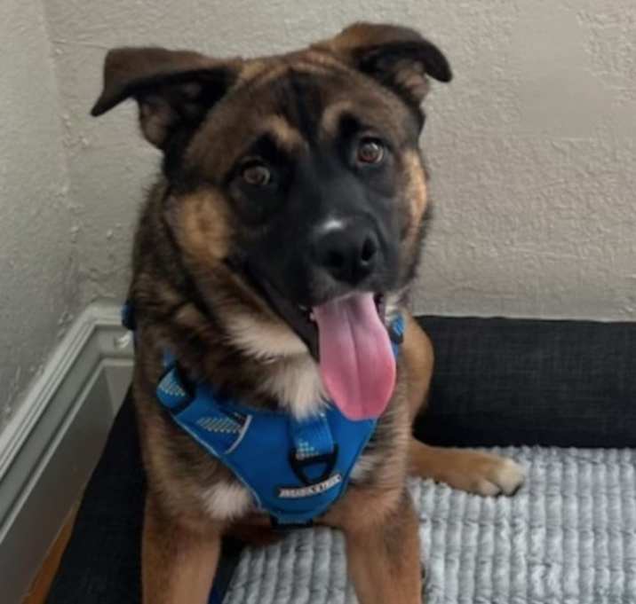 Photo of Tank