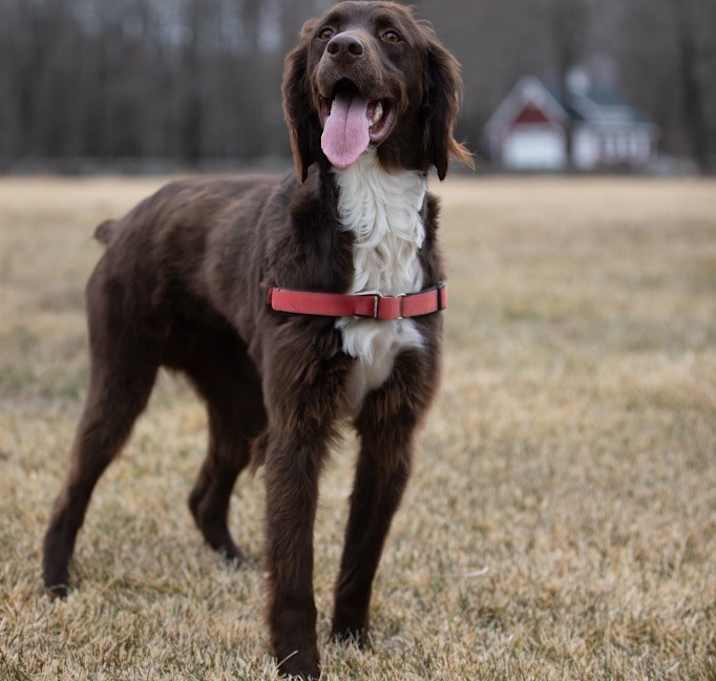 Photo of Beasley - Local