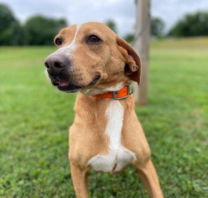 Photo of Sandy