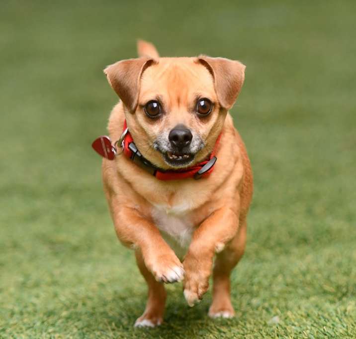 Photo of Sammy