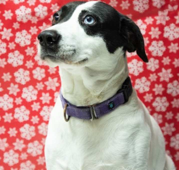 Photo of Emma