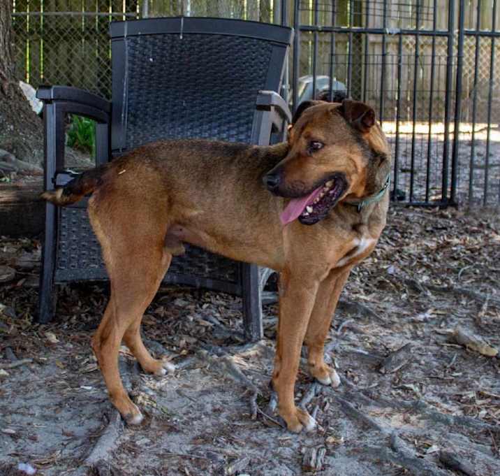 Photo of Butch