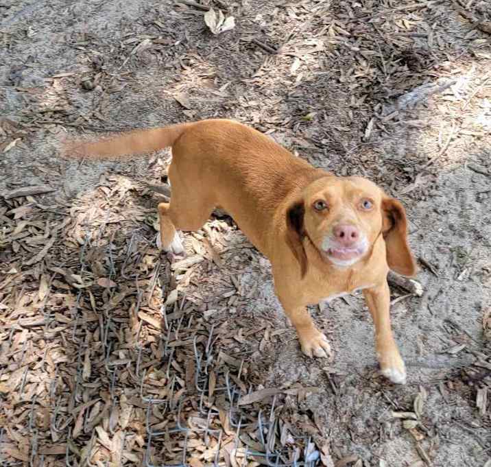 Photo of Gracie