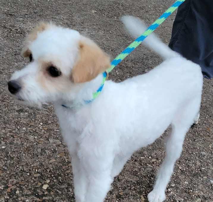 Photo of Snowy