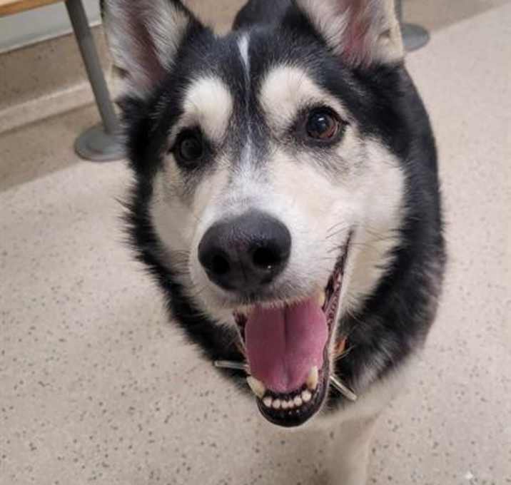 Photo of BUCKY
