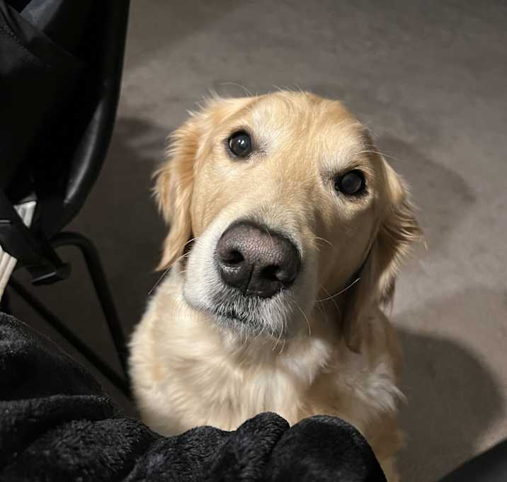 Photo of ace