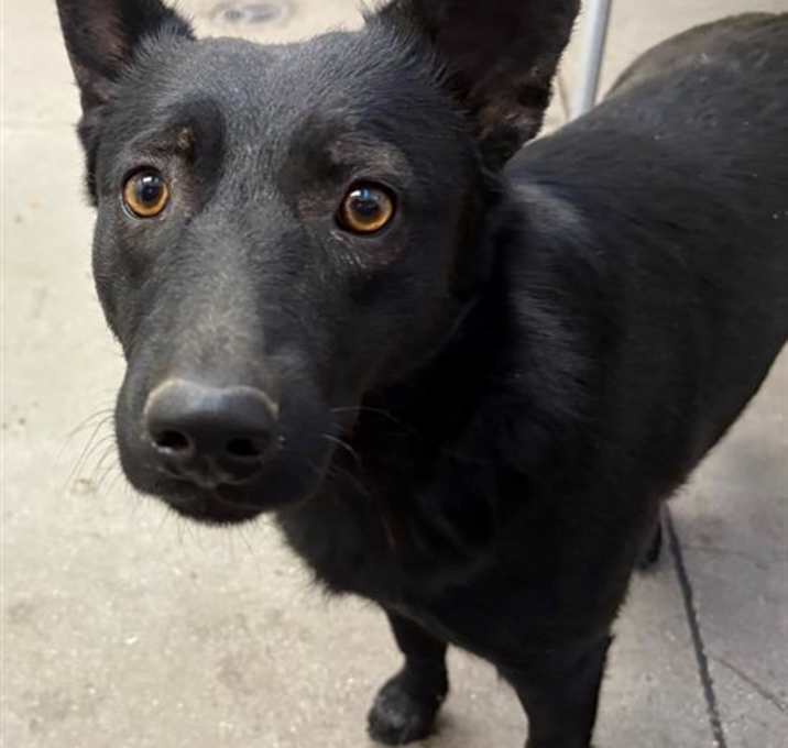 Photo of HOLLY