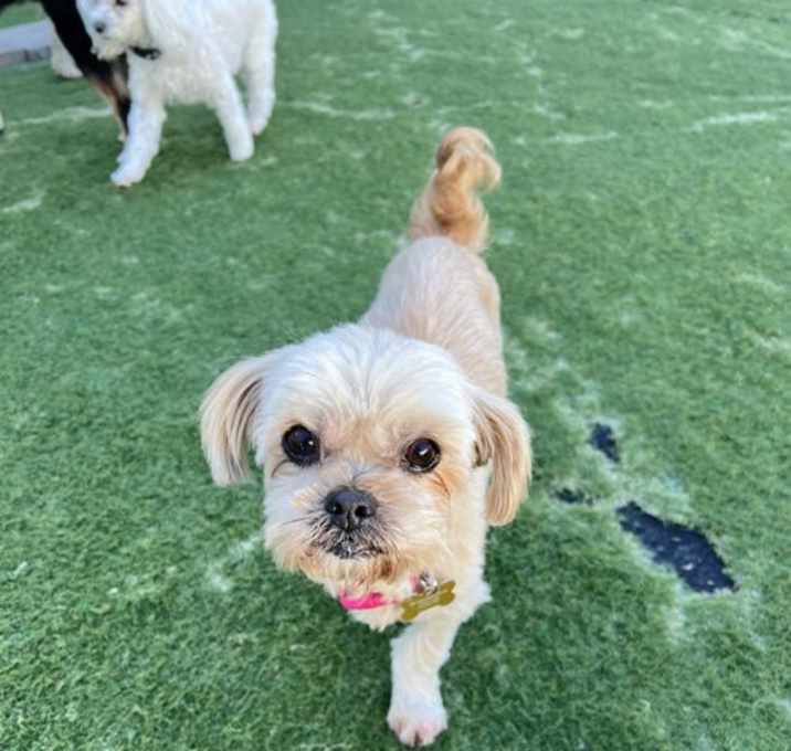 Photo of Sophie
