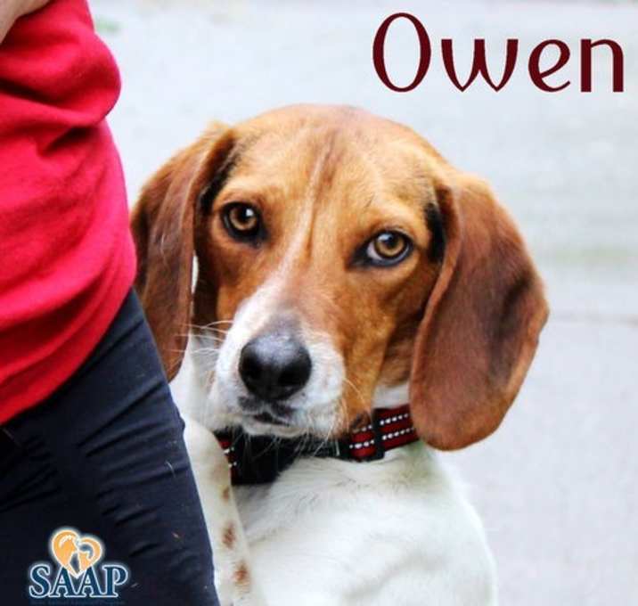 Photo of Owen