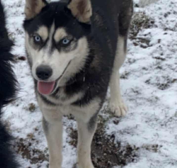 Photo of Lily