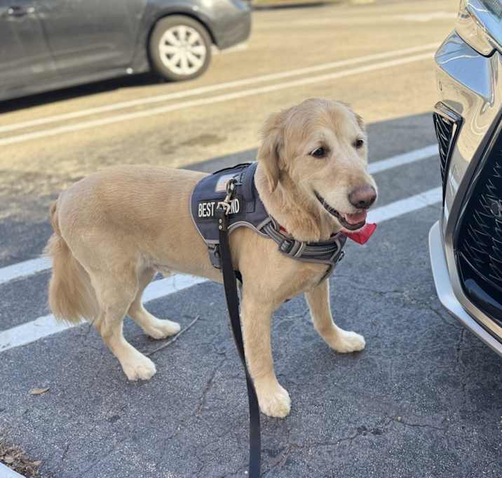 Photo of Bentley