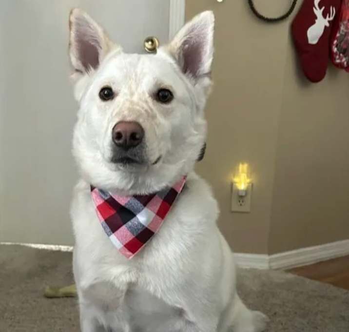 Photo of Rhett