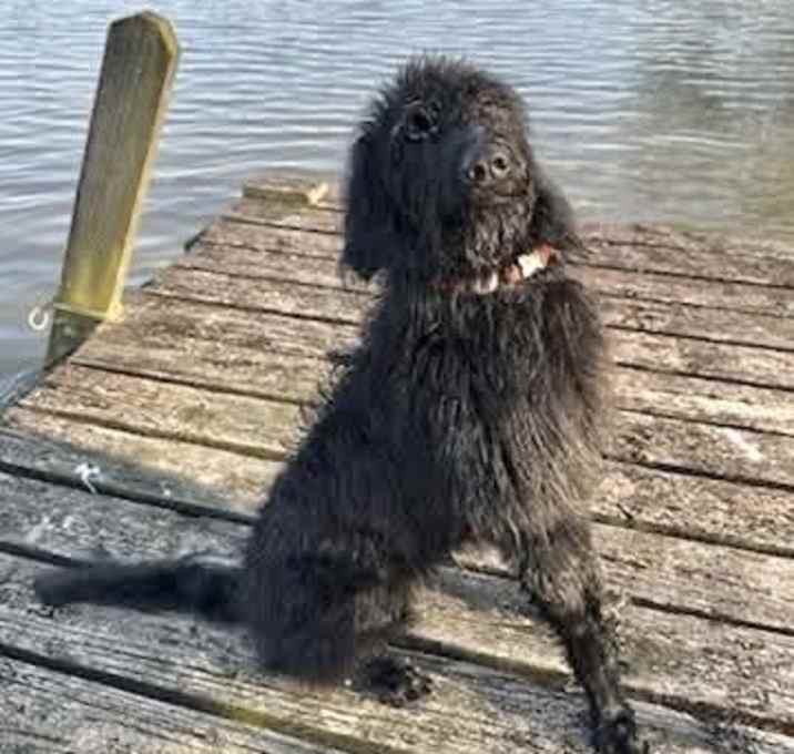 Photo of Jack