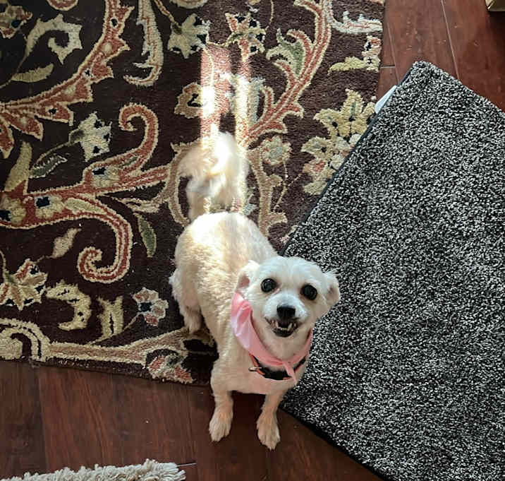 Photo of Sophie