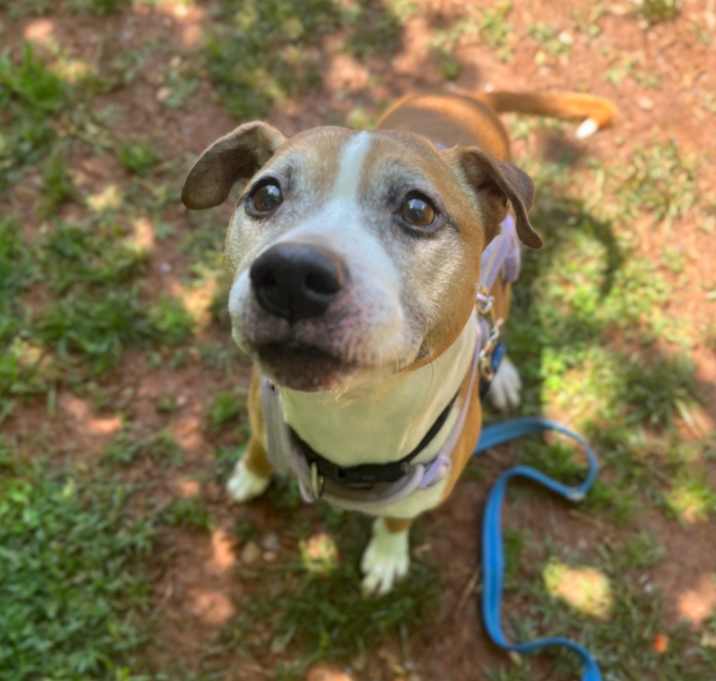 Photo of Marley