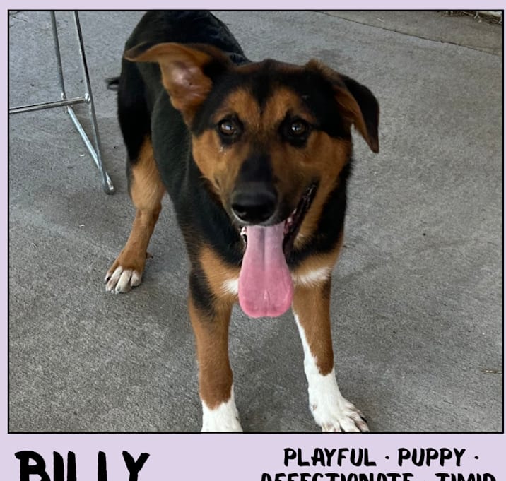 Photo of Billy