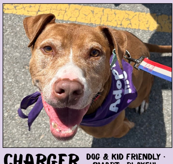 Photo of Charger