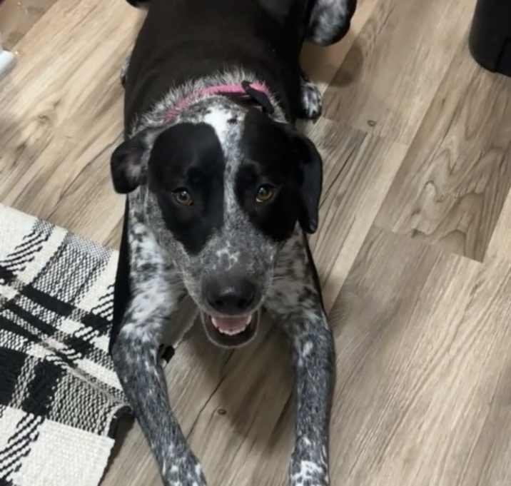 Photo of Ruby