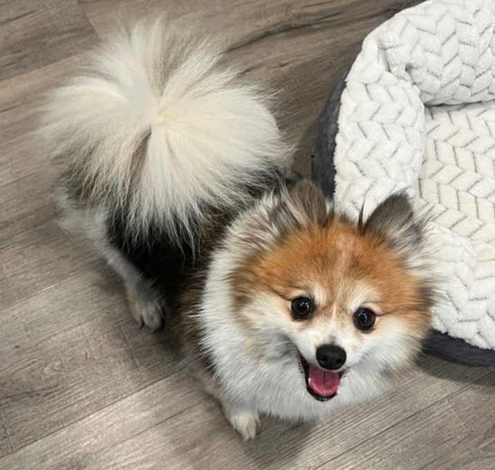 Photo of Vivian-PMRT