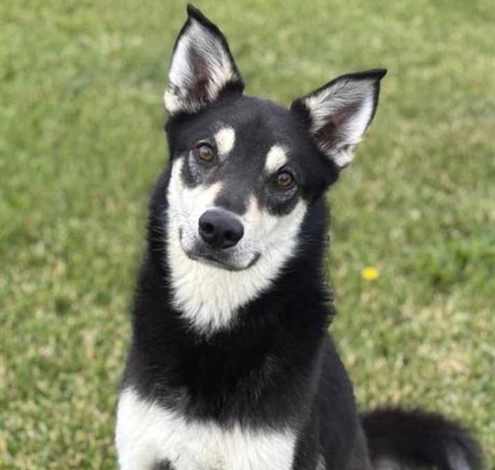 Photo of KAI