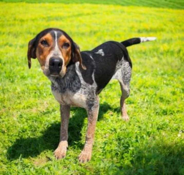 Photo of Cain