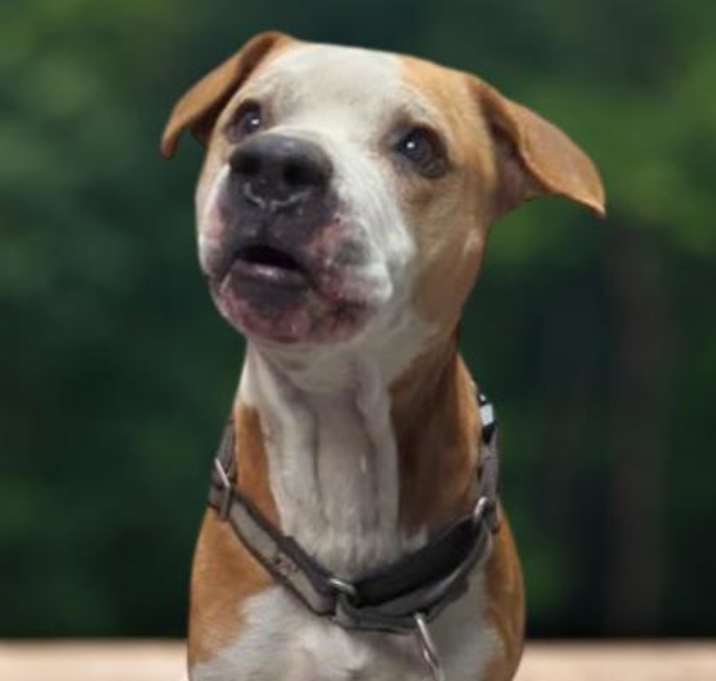 Photo of Melvin