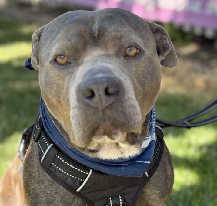 Photo of Monty