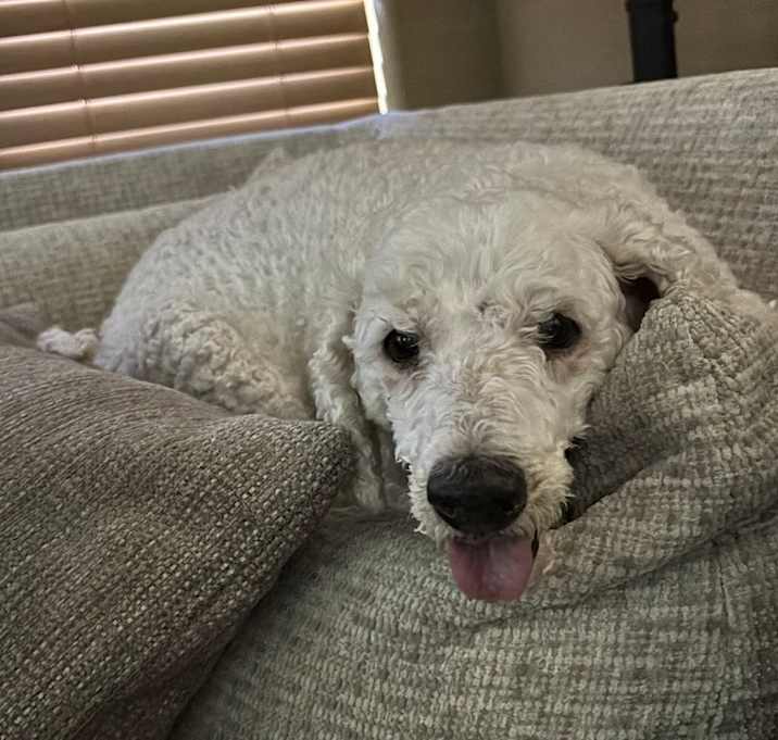 Photo of Walter
